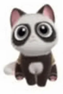 Panda Cat