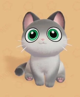 Silver British Shorthair