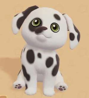 Dalmatian